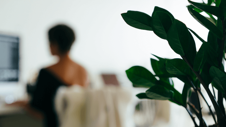 We hear tons of reasons why Clients come back for more. This is our favorite.